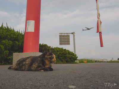 フォトスタイル: Cinelike V2